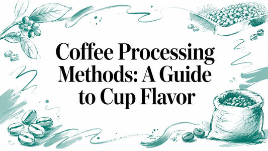 Coffee Processing Methods: A Guide to Cup Flavor